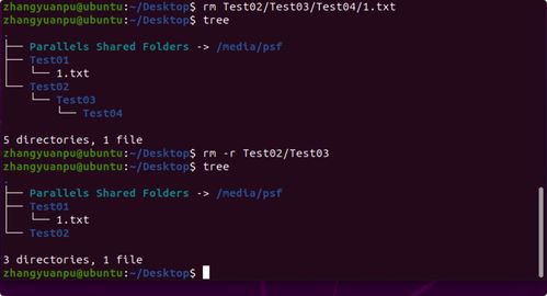 Linux初探 從核心概念到首次啟動(dòng)